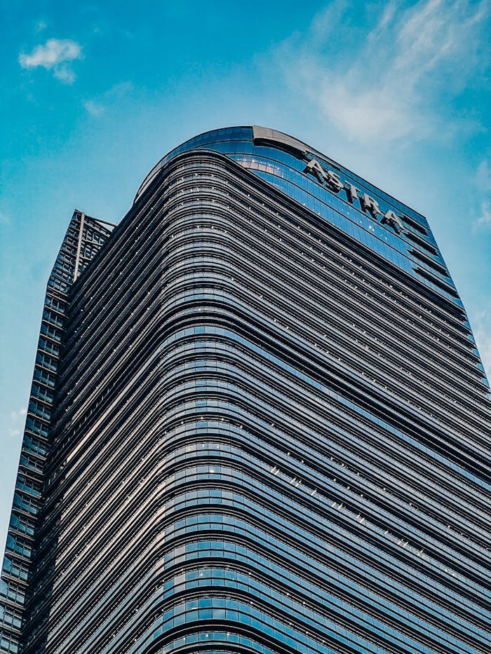 pexels photo 16364739.jpeg